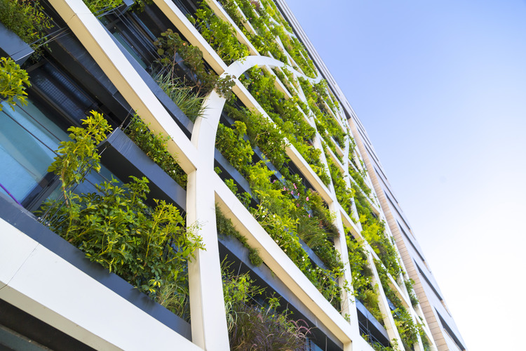 Sustainable Construction Materials: Eco-Friendly Solutions for Modern Building